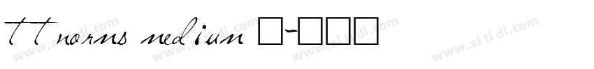 ttnorms medium 中字体转换